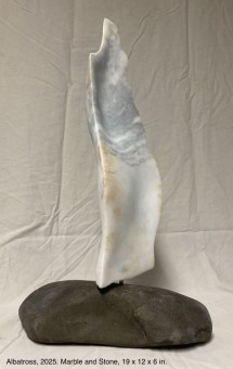 0117 Albatross w: info