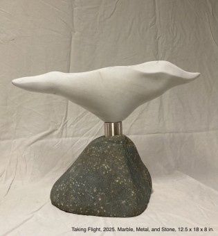 Taking Flight w: info