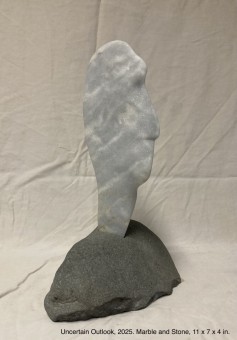 0114 Uncertain Outlook w: info