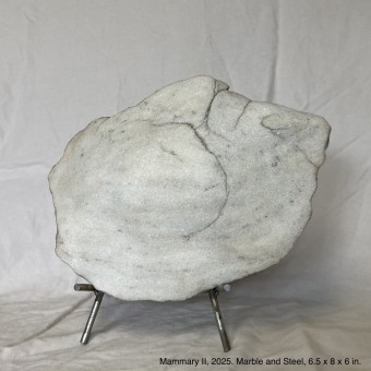 0121 mammary ii w: info